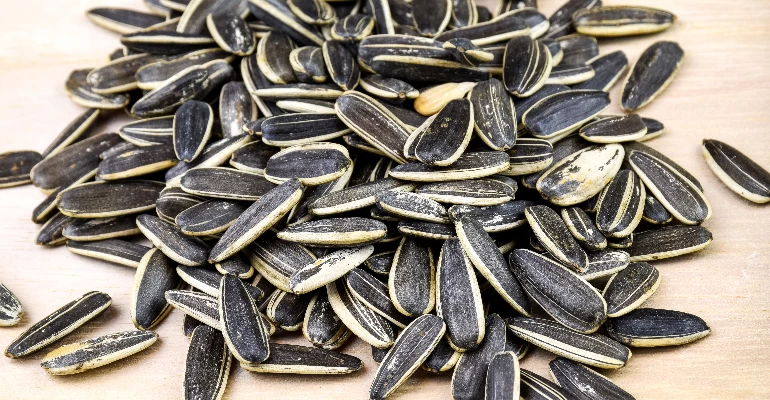 Sunflower seeds